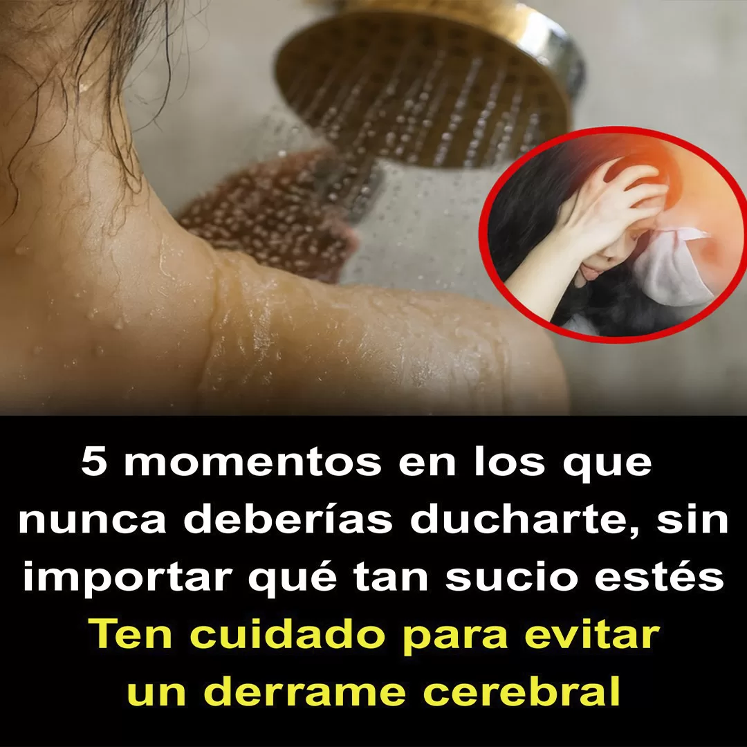 Portada6