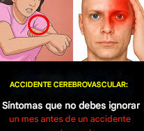 A197efbd 52bc 43a9 97eb 0cef8a5bd724 (1)